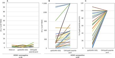 Comprehensive Evaluation of the Expressed CD8+ T Cell Epitope Space Using High-Throughput Epitope Mapping